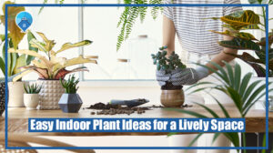 Easy Indoor Plant Ideas for a Lively Space
